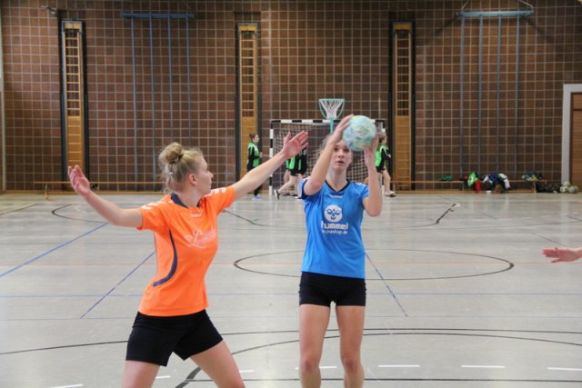 2017_01_08 Landesliga Frauen u. J19